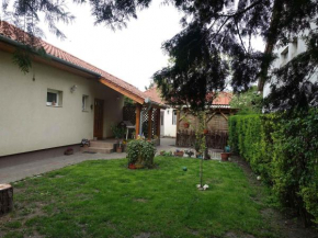 Holiday home in Siofok - Balaton 42696